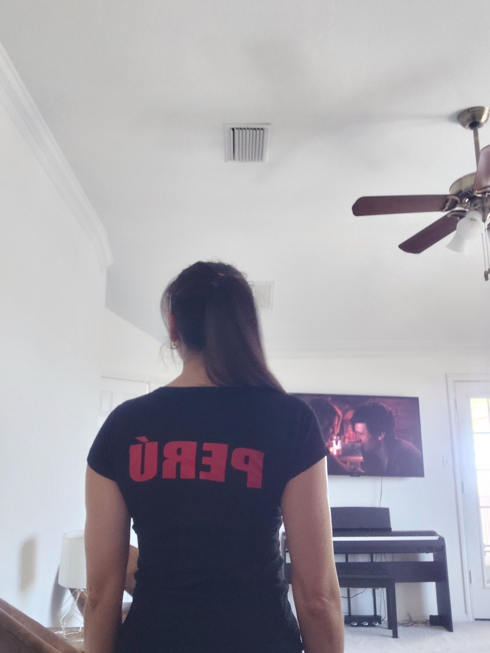 Peruvian Black Short-Sleeve Tee with Red Escudo Graphic - Picture 3 of 4